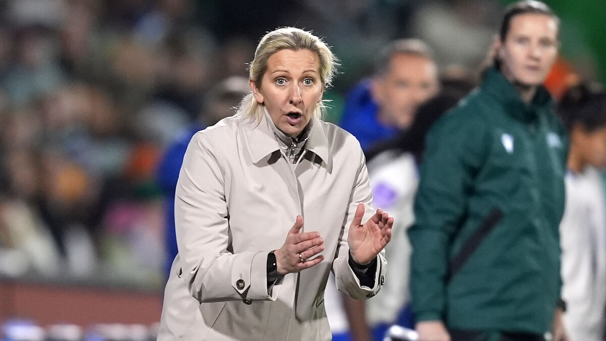 Brave Ireland fall just short against France as super sub Melard breaks Irish hearts in Tallaght